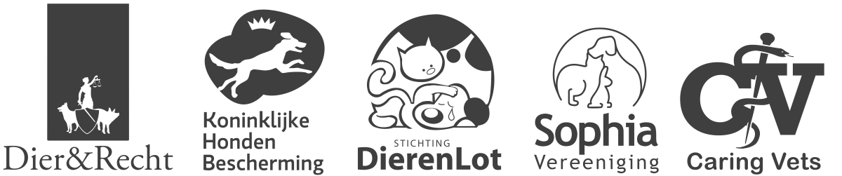 Deelnemers